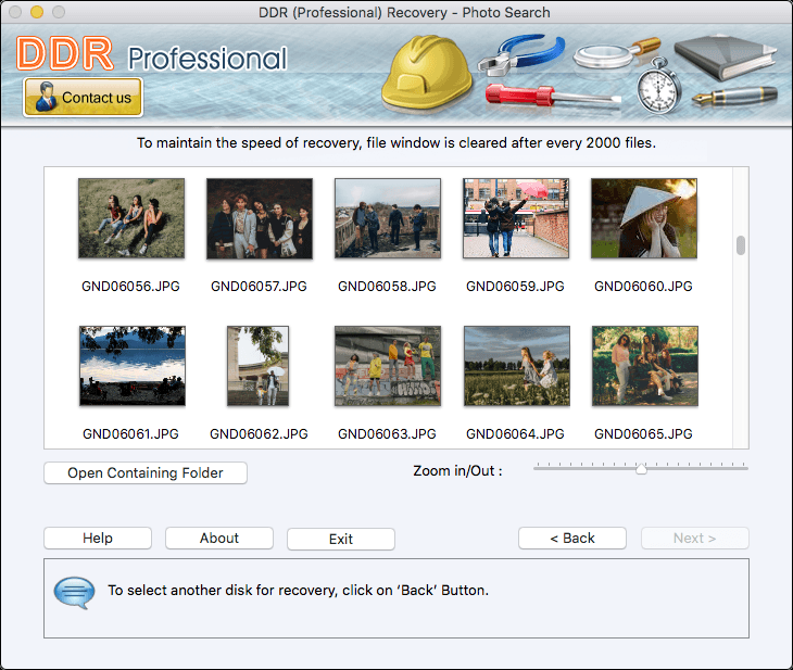 View the recovered data